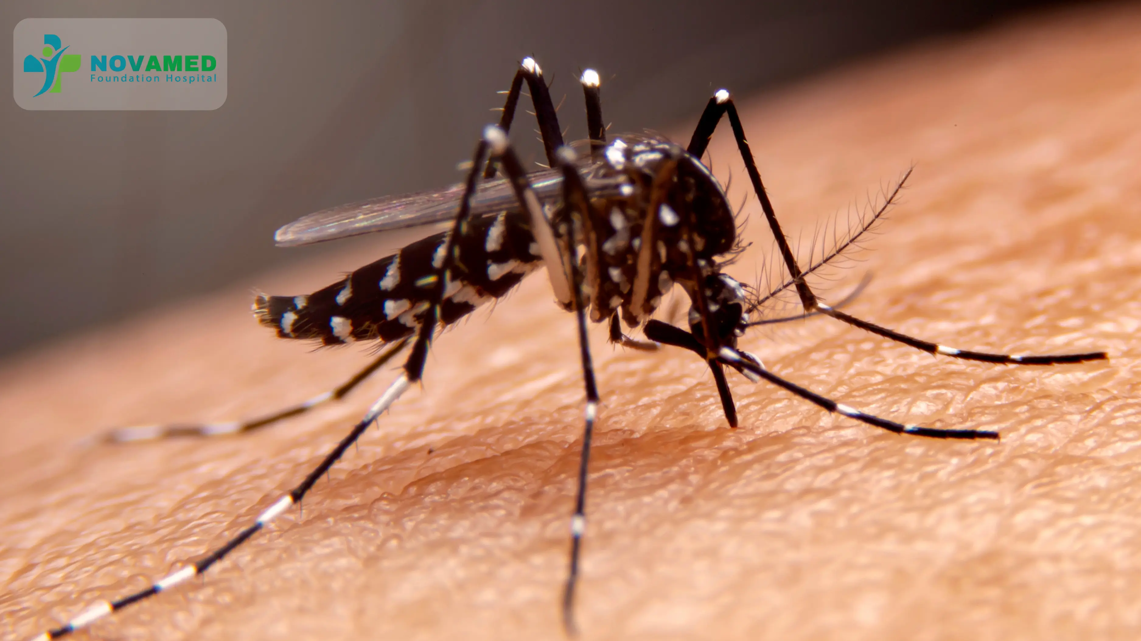 Dengue Symptoms: Early Warning Signs, Tests and When to Visit a Hospital